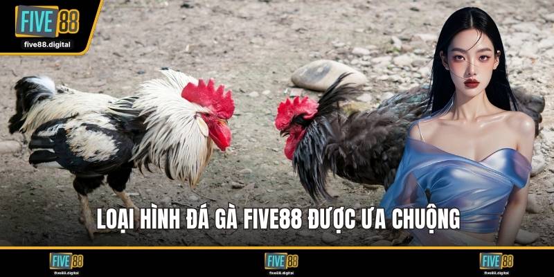Loại hình đá gà FIVE88 được ưa chuộng