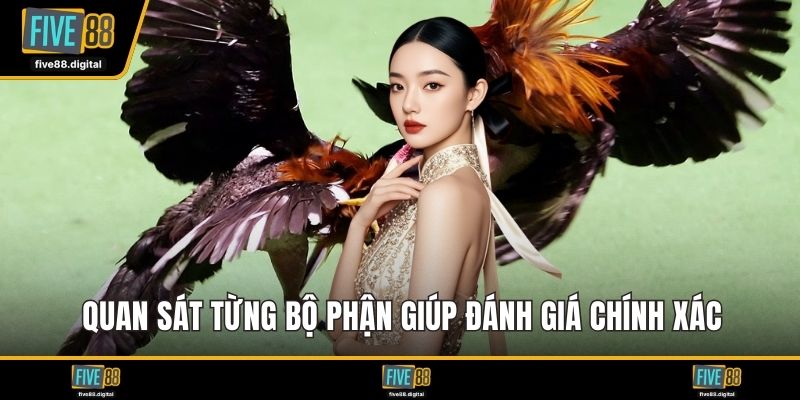 Quan sát từng bộ phận giúp đánh giá chính xác